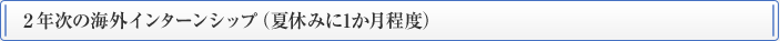 2年次の海外インターンシップ（夏休みに1か月程度）